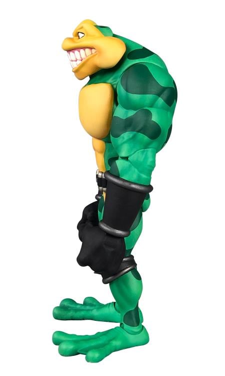 Battletoads Wave 1 Set of 6 Figures Gallery Image 5