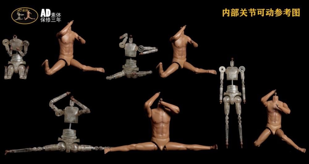Male 1/6 Scale Seamless Body (AD-28) Gallery Image 5