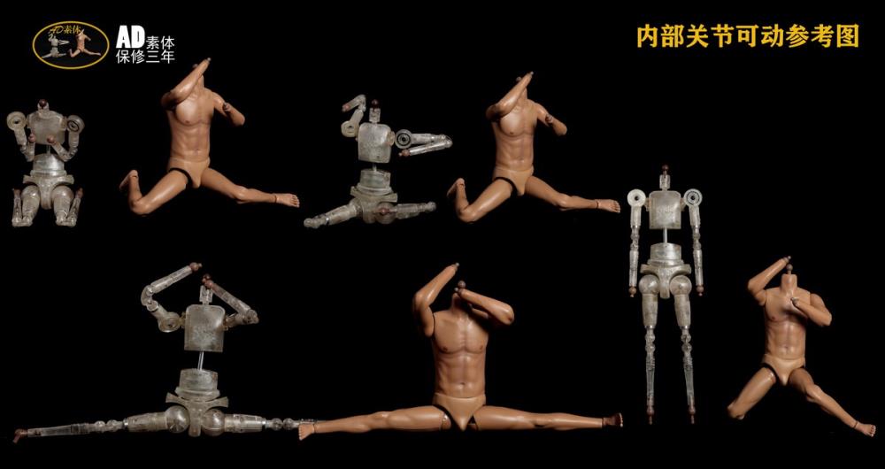 Male 1/6 Scale Seamless Body (AD-15) Gallery Image 5