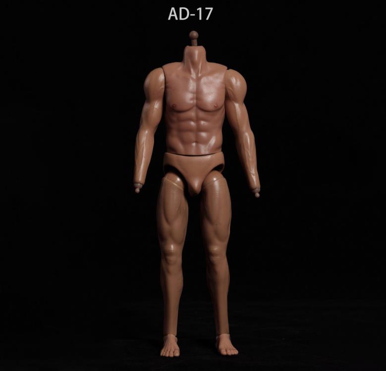 Male 1/6 Scale Seamless Body (AD-17) Gallery Image 3