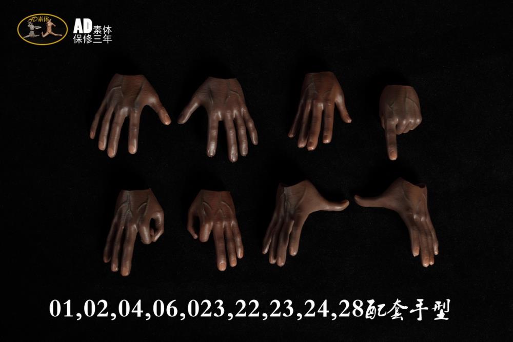Male 1/6 Scale Seamless Body (AD-23) Gallery Image 4