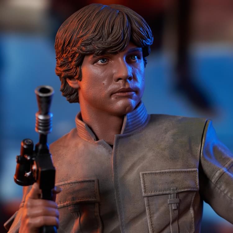 Star Wars: The Empire Strikes Back Luke Skywalker 1/6 Scale Limited Edition Bust Gallery Image 13