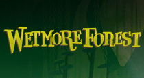 More Wetmore Forest Products