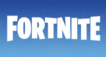 More Fortnite Products