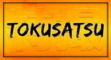 More Tokusatsu Products
