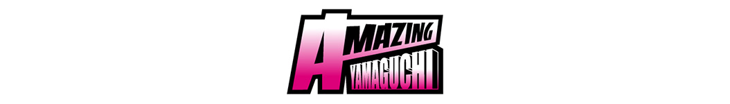 Amazing Yamaguchi Toys, Action Figures, Statues, Collectibles, and More!